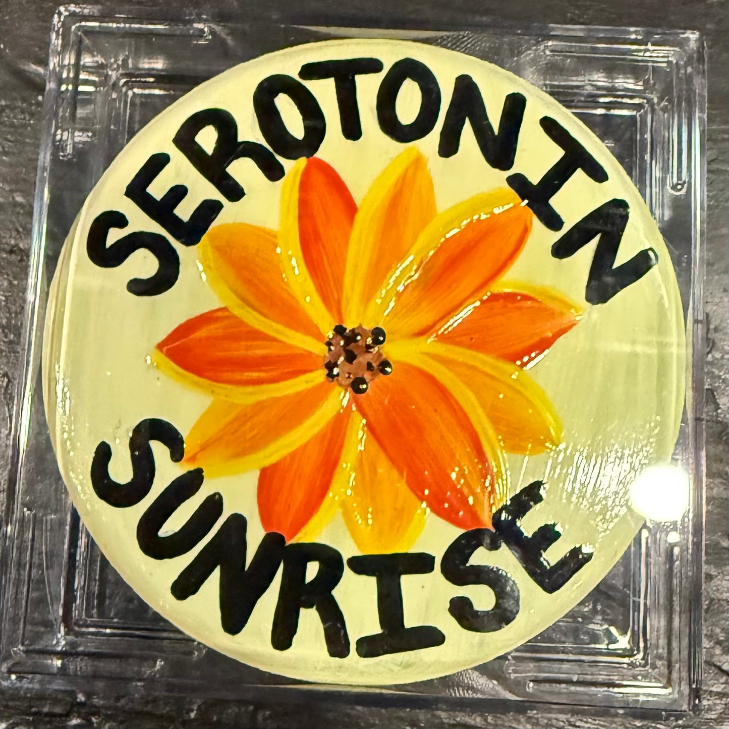 WTSS Hockey Pucks (Hand-Painted)