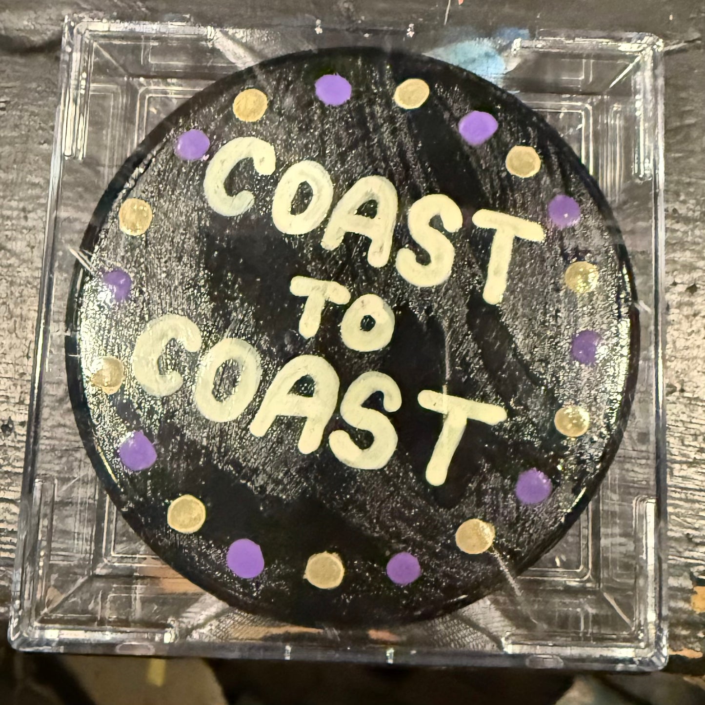 WTSS Hockey Pucks (Hand-Painted)