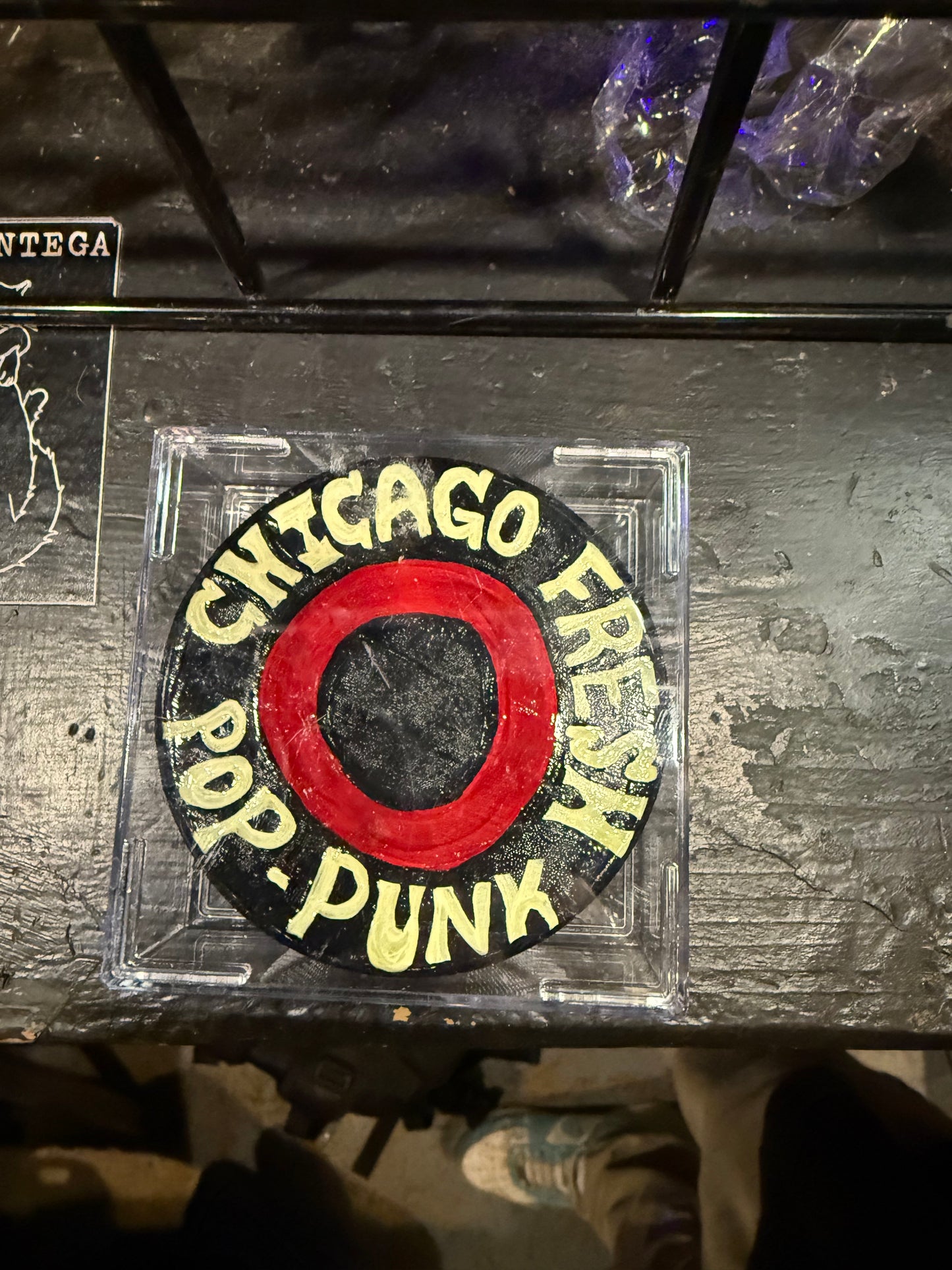 WTSS Hockey Pucks (Hand-Painted)