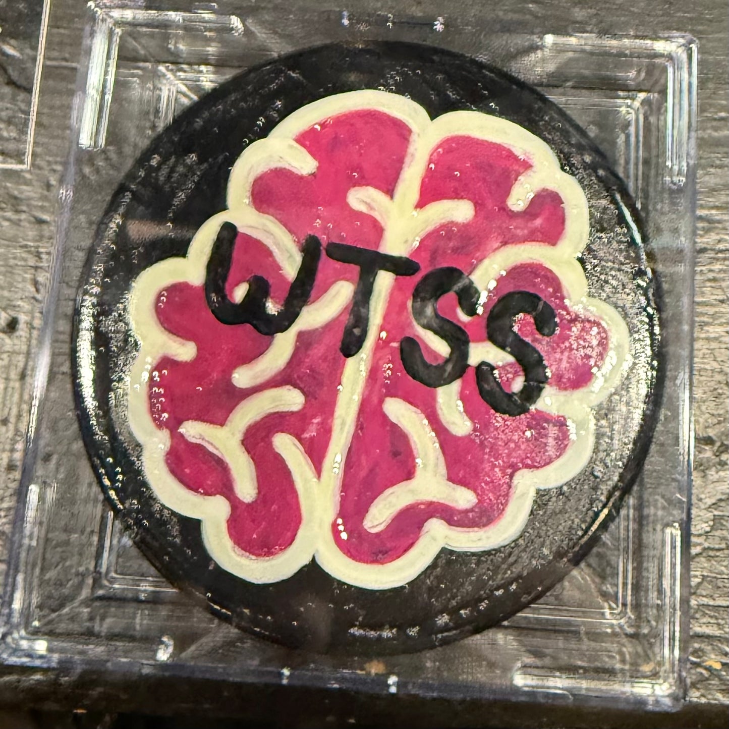 WTSS Hockey Pucks (Hand-Painted)