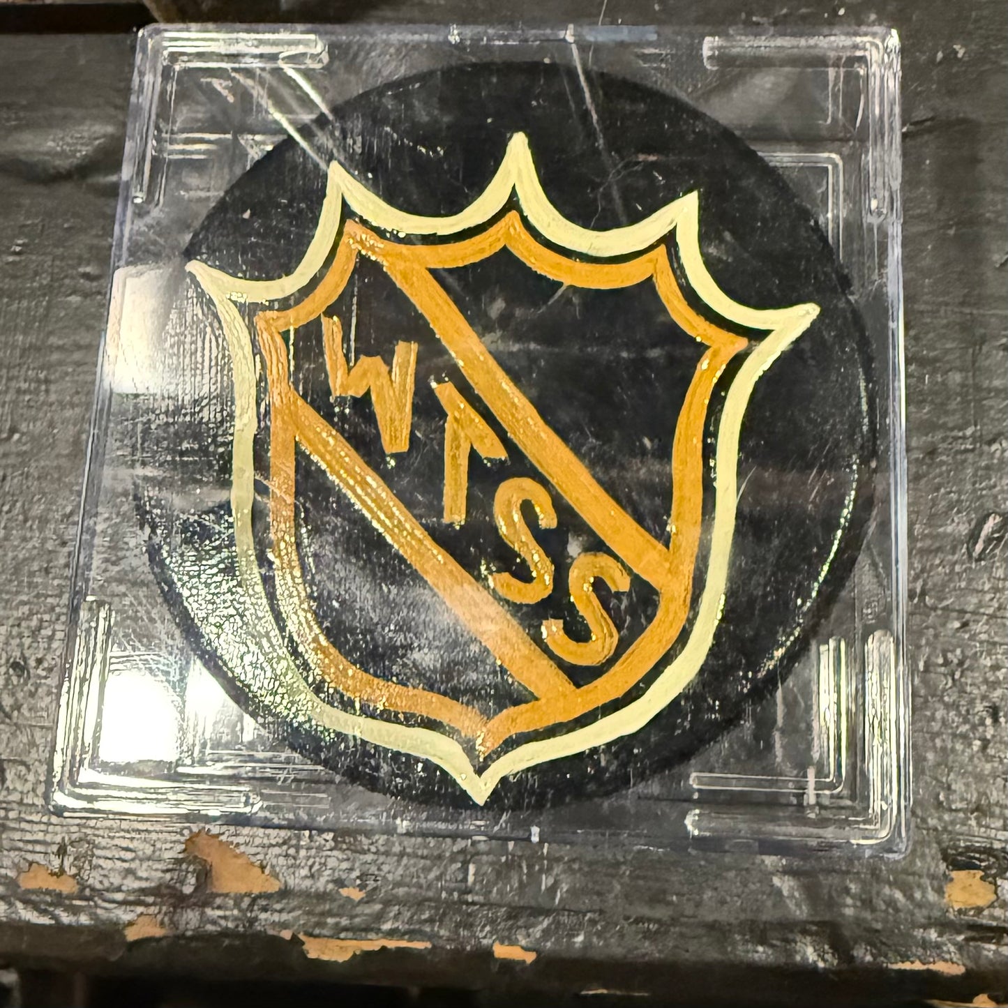 WTSS Hockey Pucks (Hand-Painted)